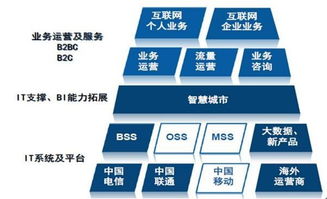 天源迪科（300047）更新研究報告 聚焦政企與運營商雙輪驅動，深化軟件外包服務布局