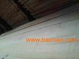 俄羅斯進口無節樟子松與優質樺木寬板 家裝建材的理想選擇