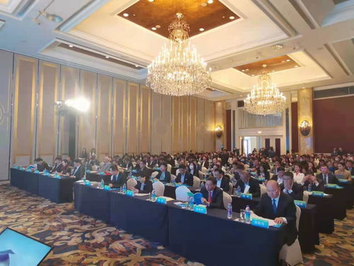 青島國際航運貿易金融創新中心核心區暨 rcep 青島經貿合作先行創新試驗基地推介會在上海舉行